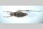Poecilimon roseoviridis Chobanov et Kaya, in press [holotype]