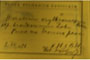 Hieracium erythrocarpum Peter. erythrocarpum Peter. ssp. branisiamum Zahn [lectotype]