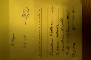 Podanthum kellererianum Stef. [lectotype SOAXXXXX0402] (2) (c) Agricultural University of Plovdiv — Herbarium (SOA)