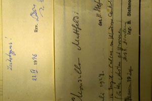 Chondrilla mattfeldii Stoj. & Stef. [lectotype SOAXXXXX0400] (c) Agricultural University of Plovdiv — Herbarium (SOA)