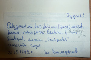Polygonatum latifolium (Jacq.) Desf. f. variegatum Ceschm. et Delip [holotype SOAXXXXX0133] (2) (c) Agricultural University of Plovdiv — Herbarium (SOA)