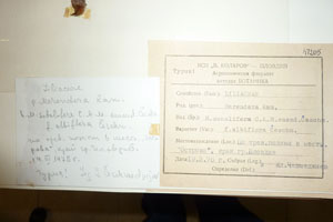 Merendera sobolifera C.A.M. emend. Ceschm. sobolifera C.A.M. emend. Ceschm. f. albiflora Ceschm. [holotype SOAXXXXX0103] (2) (c) Agricultural University of Plovdiv — Herbarium (SOA)