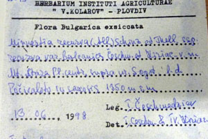 Minuartia recurva (All.) Schinz. et Thell. subsp. recurva var. balcanica Ceschm. & Kiriac var. n. [isotype SOAXXXXX0112] (2) (c) Agricultural University of Plovdiv — Herbarium (SOA)