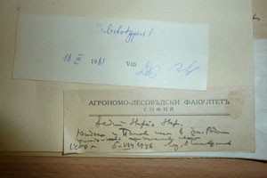 Sedum stefco Stef. [isolectotype SOAXXXXX0723] (2) (c) Agricultural University of Plovdiv — Herbarium (SOA)