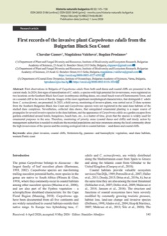 First records of the invasive plant Carpobrotus edulis from the Bulgarian Black Sea Coast