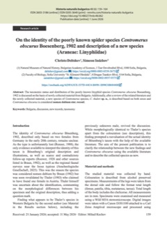 On the identity of the poorly known spider species Centromerus obscurus Boesenberg, 1902 and description of a new species (Araneae: Linyphiidae)