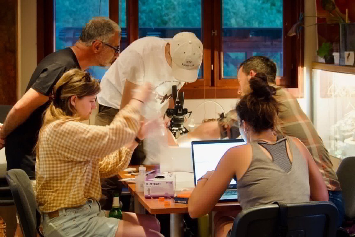 The National Museum of Natural History, Sofia led the largest lepidopterological field expedition in Europe